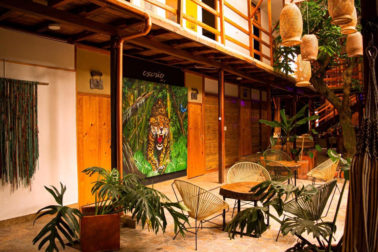 Refugio Del Jaguar Hotel เมเดยิน ภายนอก รูปภาพ