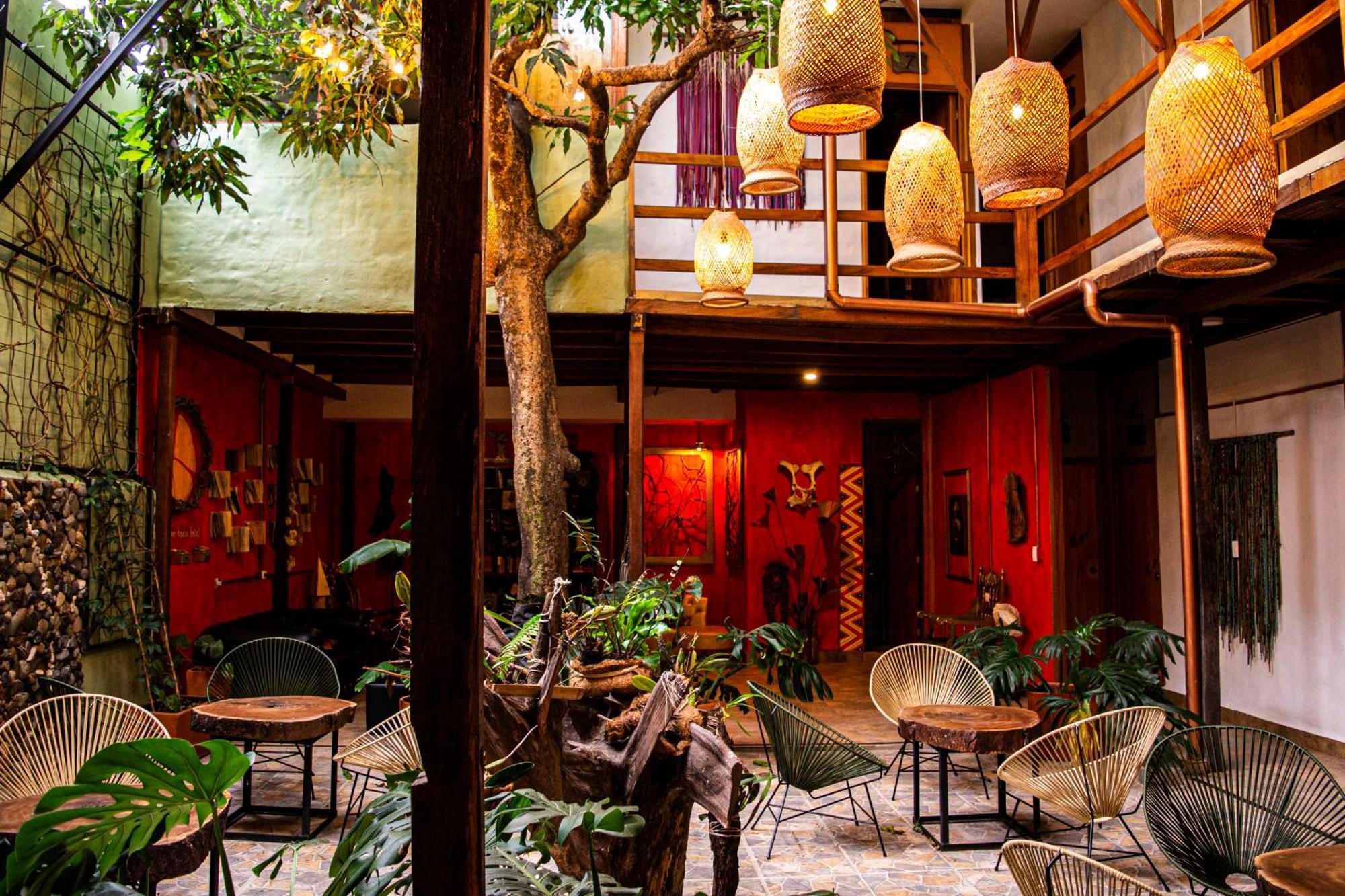 Refugio Del Jaguar Hotel เมเดยิน ภายนอก รูปภาพ